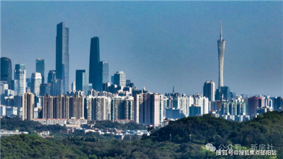 【佛山犬马之家】宠物乐园，宠爱无限